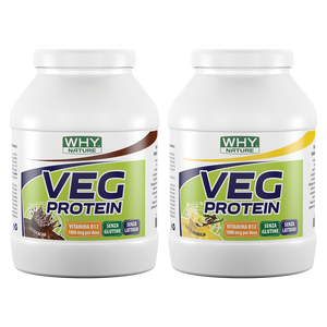 VEG PROTEIN