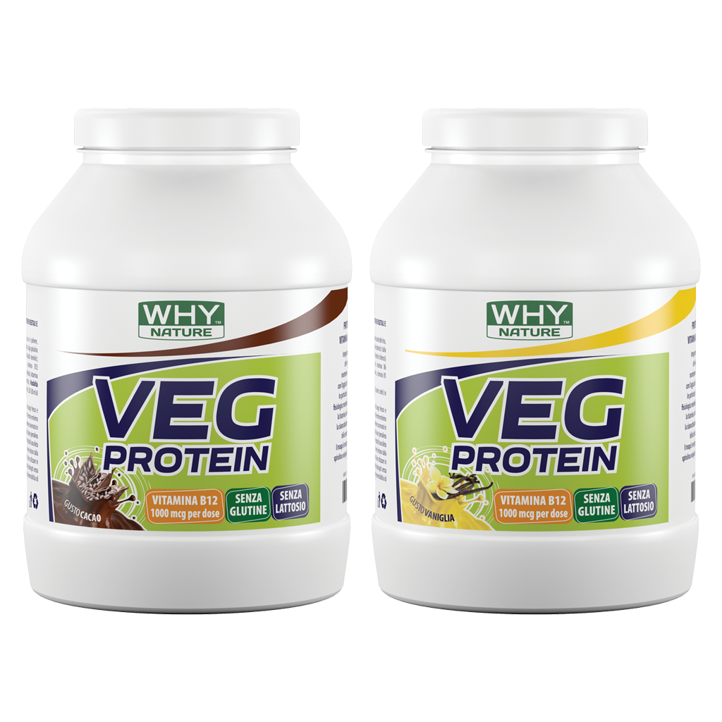 VEG PROTEIN