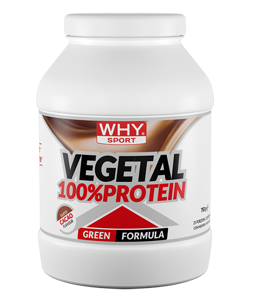 100% VEGETAL PROTEIN