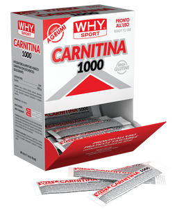 CARNITINA 1000