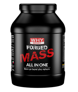 FORGED MASS